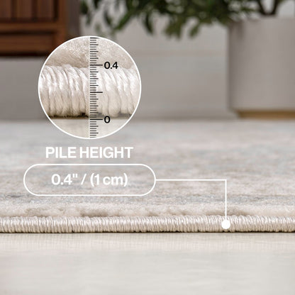 Modern Persian Vintage Medallion Cream/Light Area