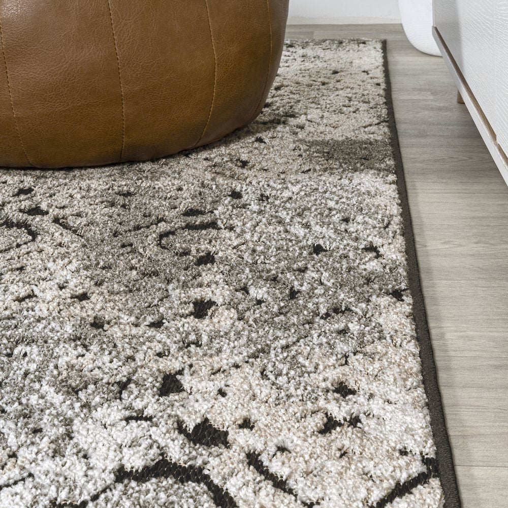 Duenas High-Low Shabby Damask Area Rug