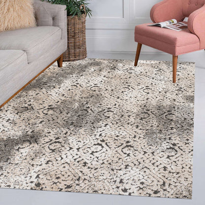 Duenas High-Low Shabby Damask Area Rug