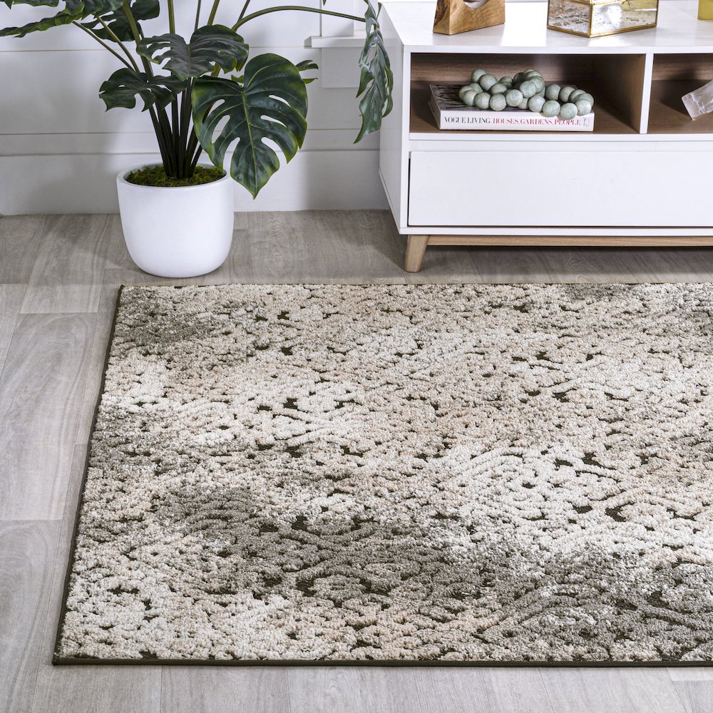 Duenas High-Low Shabby Damask Area Rug