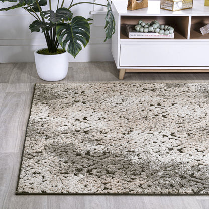 Duenas High-Low Shabby Damask Area Rug