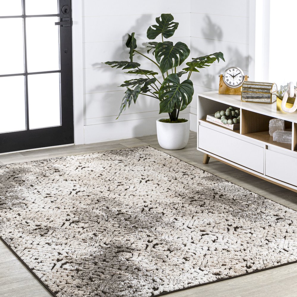 Duenas High-Low Shabby Damask Area Rug