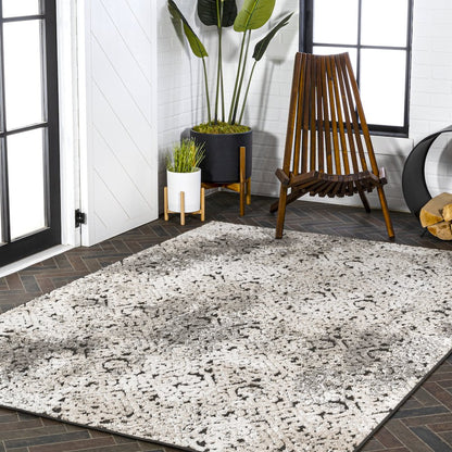 Duenas High-Low Shabby Damask Area Rug