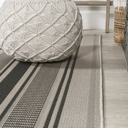 Haynes Modern Double Stripe Indoor/Outdoor Area Rug