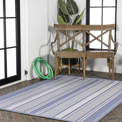 Haynes Modern Double Stripe Indoor/Outdoor Area Rug