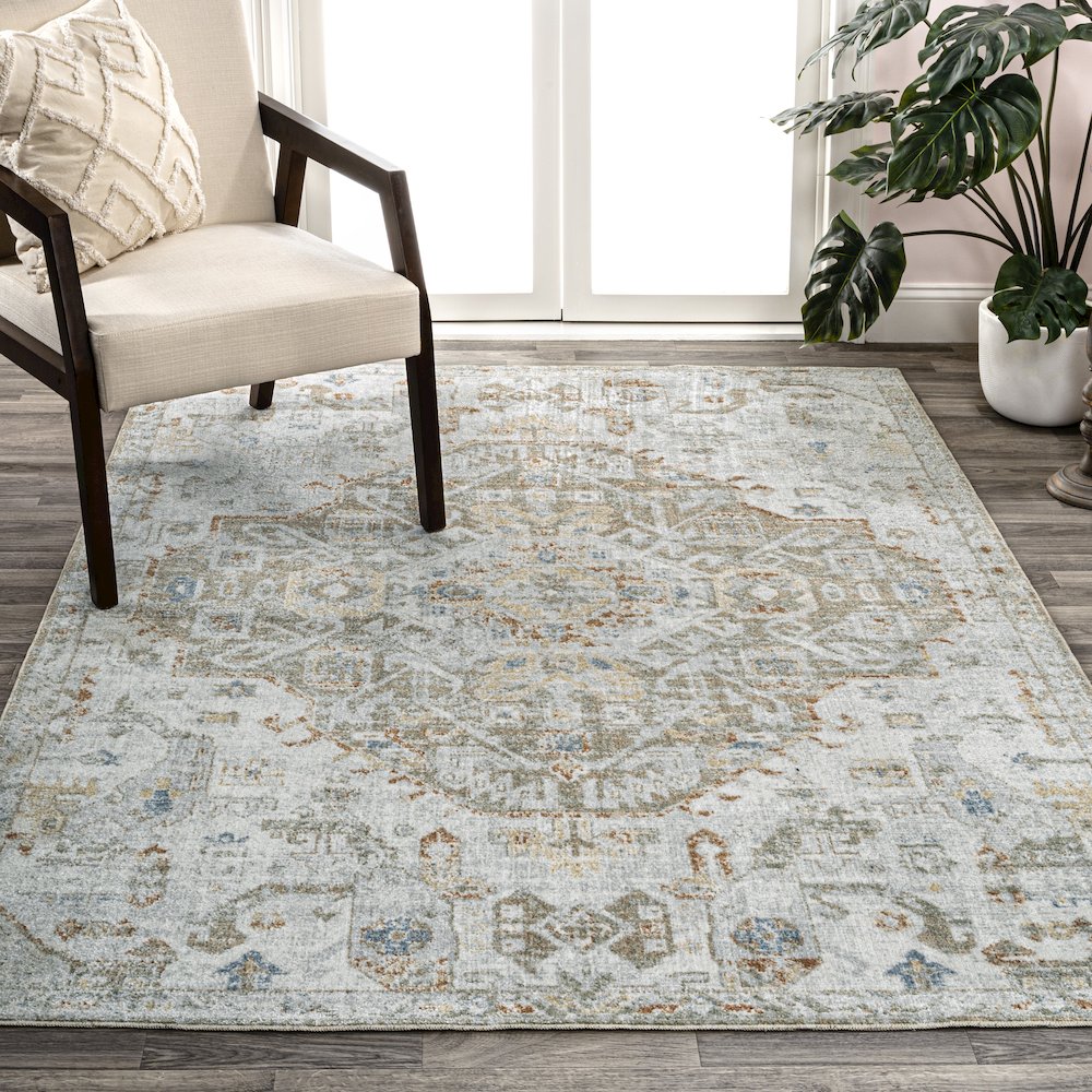 Shaemus Bohemian Medallion Low-Pile Machine-Washable Area Rug