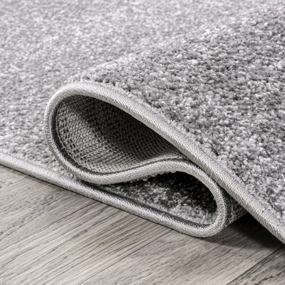 Haze Solid Low-Pile Area Rug