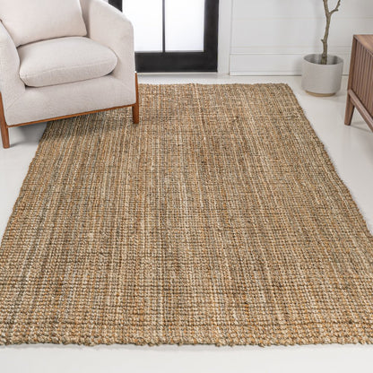 Biot Traditional Rustic Handwoven Jute Area Rug