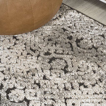 Duenas High-Low Shabby Damask Area Rug