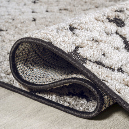 Duenas High-Low Shabby Damask Area Rug