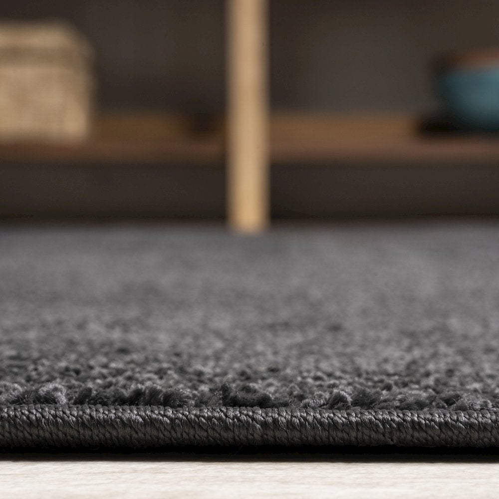 Haze Solid Low Pile Area Rug Black
