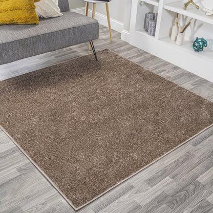 Haze Solid Low-Pile Area Rug