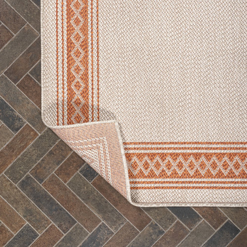 Lucia Classic Diamond Border Indoor/Outdoor Area Rug