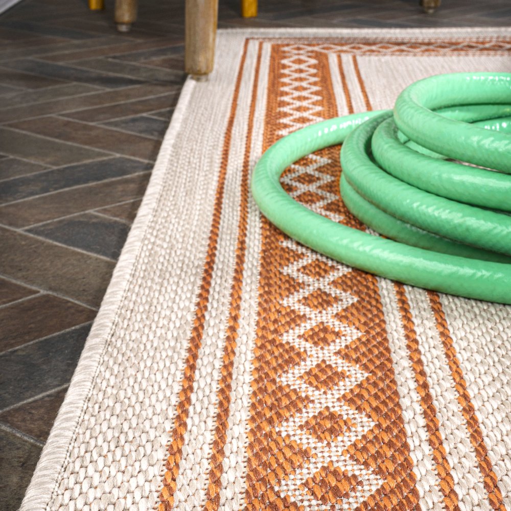 Lucia Classic Diamond Border Indoor/Outdoor Area Rug
