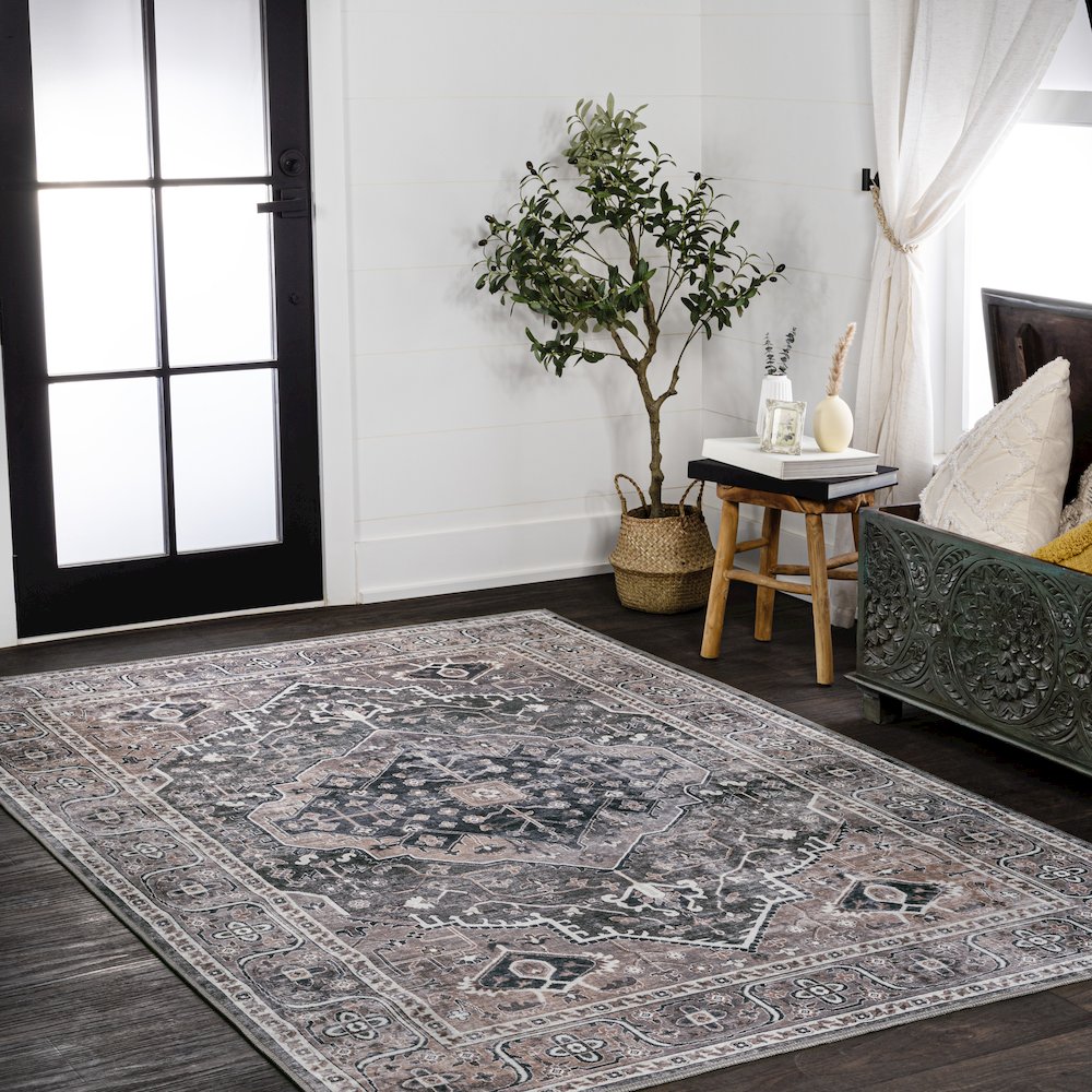 Alacati Ogee Medallion Machine-Washable Area Rug