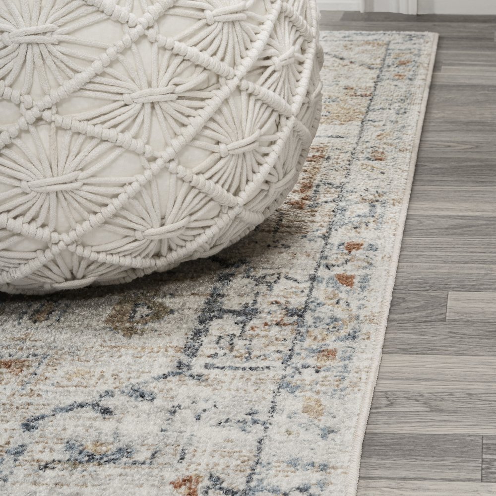 Shaemus Bohemian Medallion Low-Pile Machine-Washable Area Rug