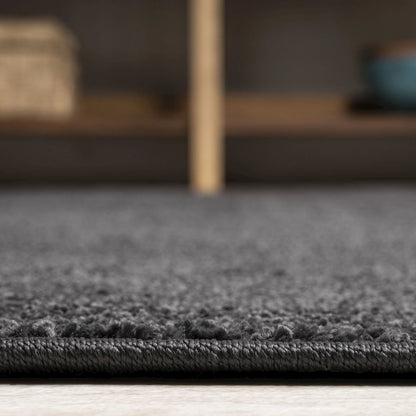 Haze Solid Low Pile Area Rug Black