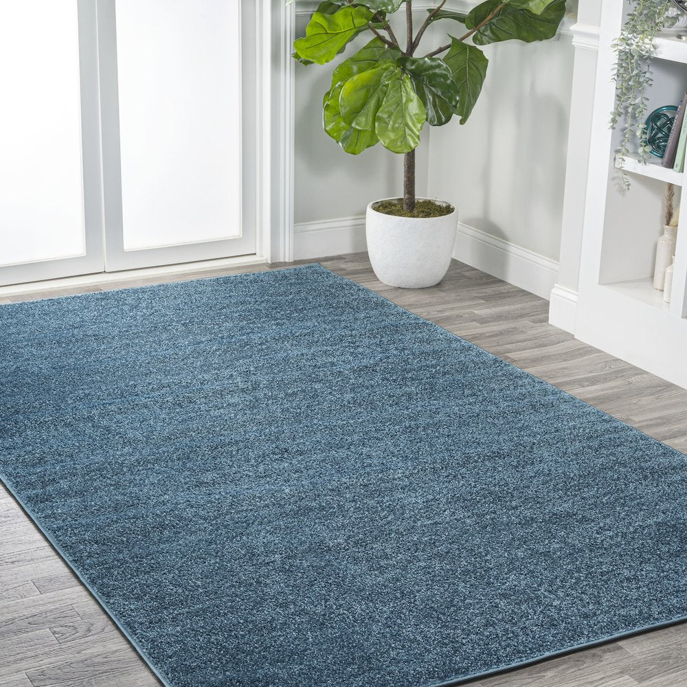 Haze Solid Low-Pile Area Rug