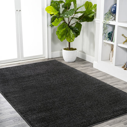 Haze Solid Low-Pile Area Rug