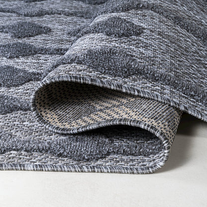 Peralta Moroccan Diamond Indoor/Outdoor Area Rug