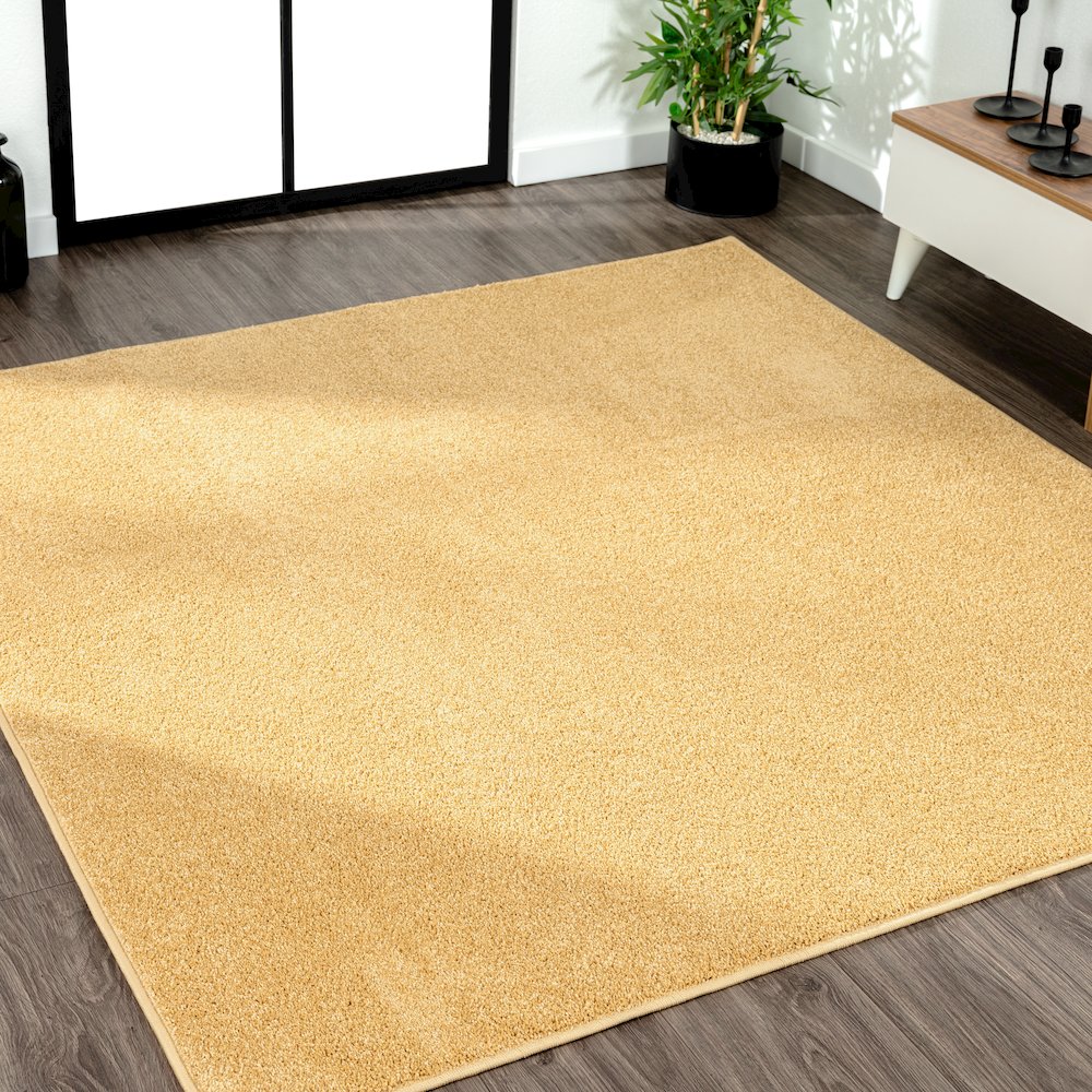 Haze Solid Low-Pile Area Rug