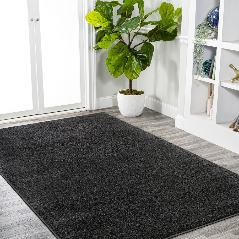 Haze Solid Low-Pile Area Rug