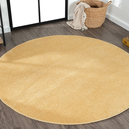 Haze Solid Low-Pile Area Rug