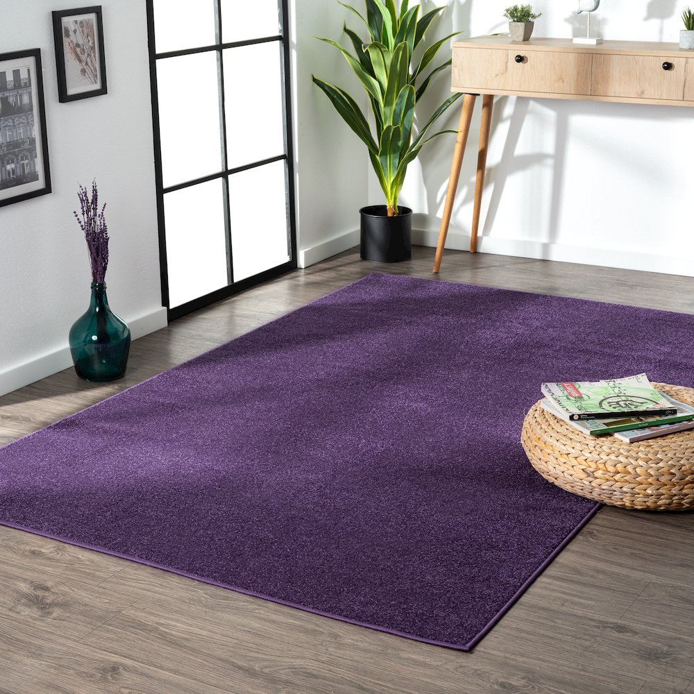Haze Solid Low-Pile Area Rug