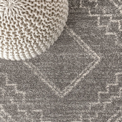 Amir Moroccan Beni Souk Area Rug
