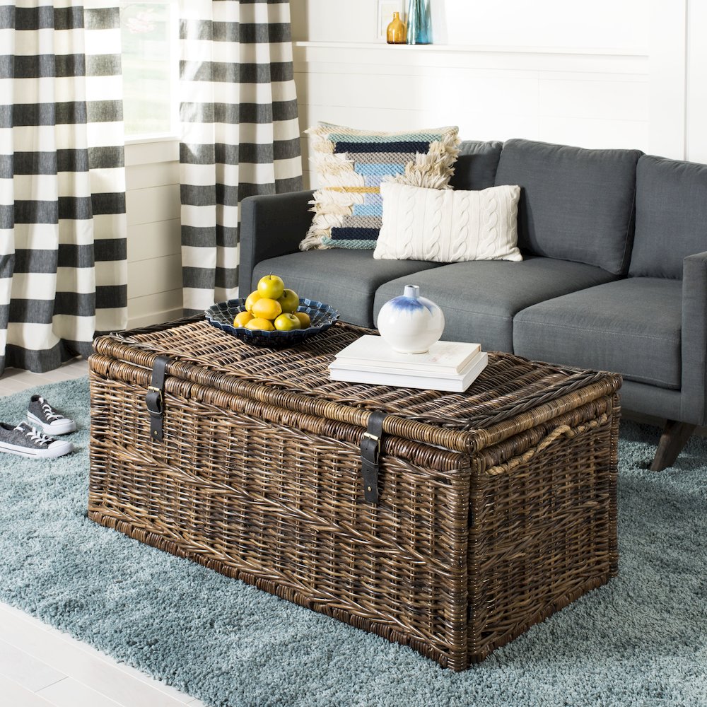 Caden Wicker Storage Trunk