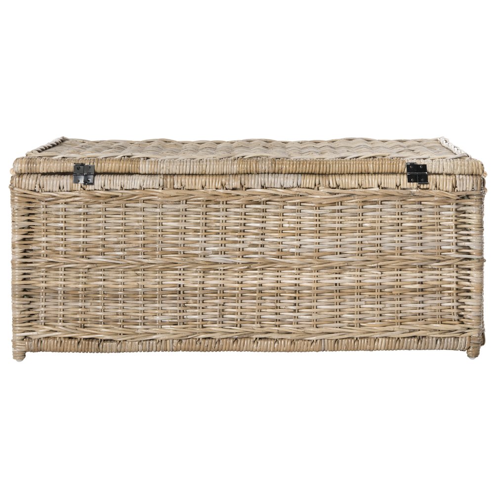Caden Wicker Storage Trunk