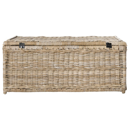 Caden Wicker Storage Trunk