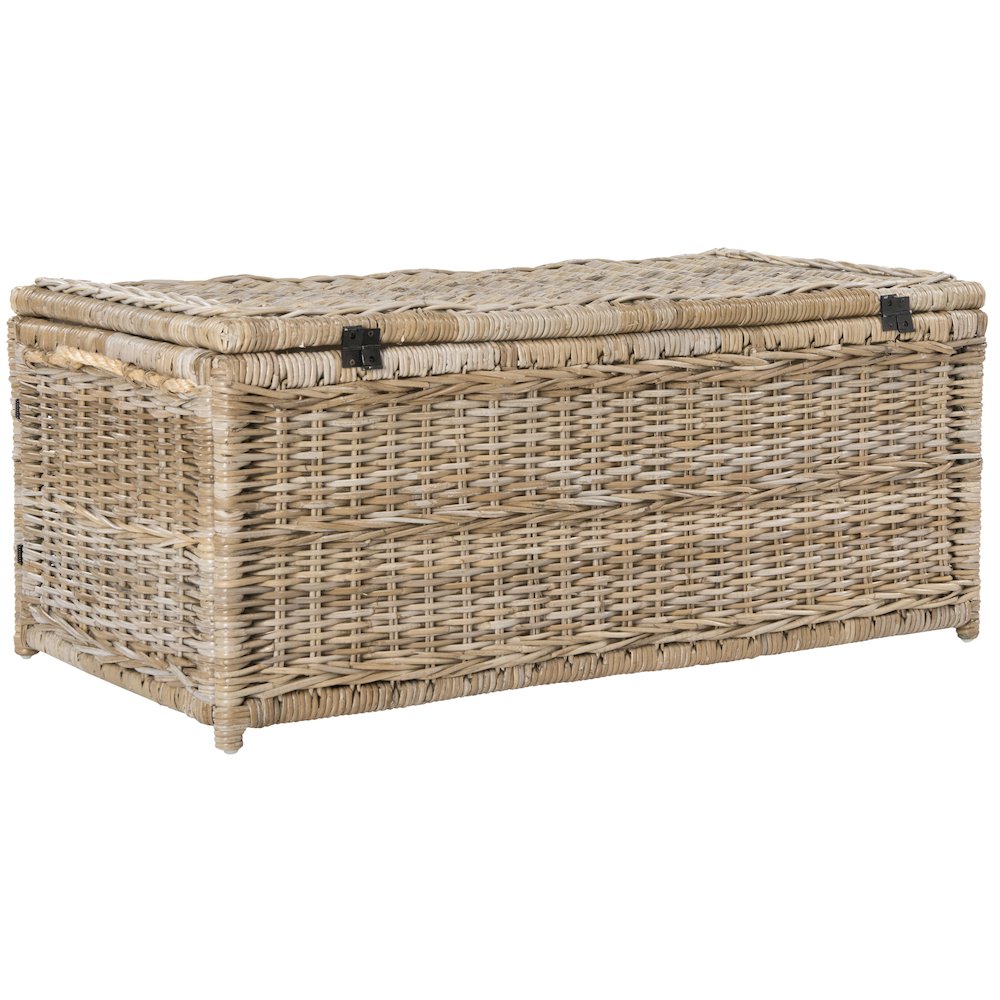 Caden Wicker Storage Trunk