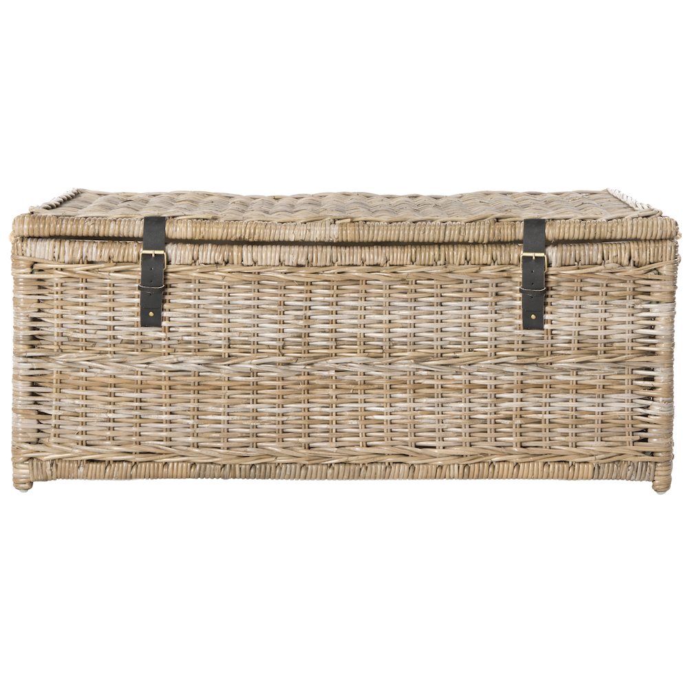 Caden Wicker Storage Trunk