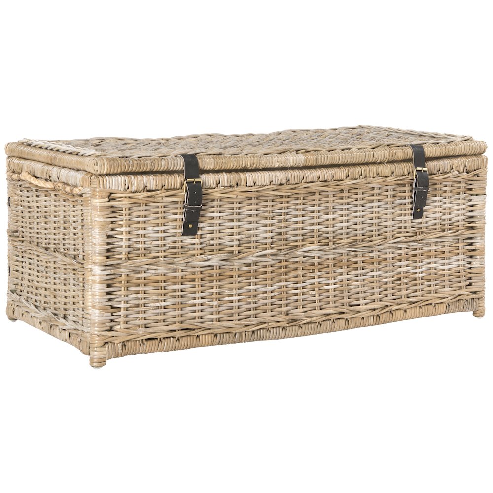 Caden Wicker Storage Trunk