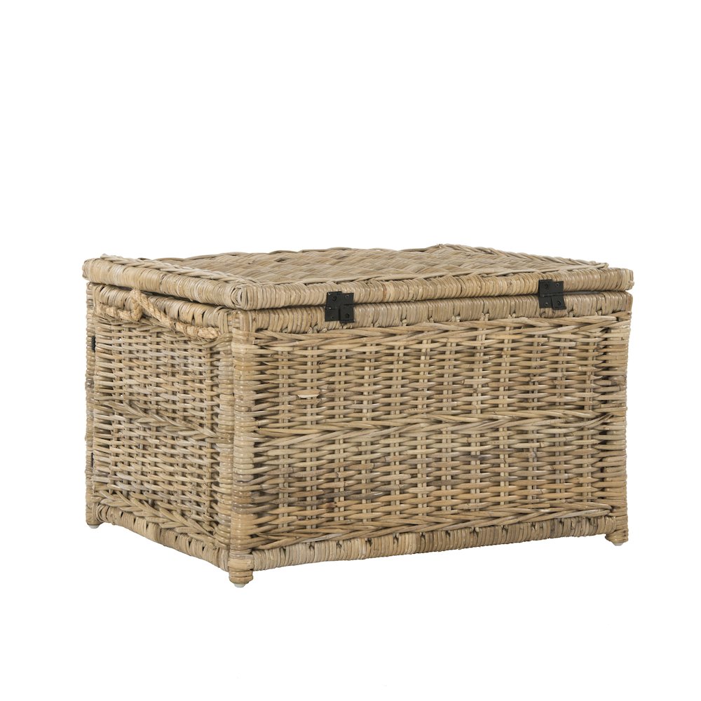 Caden Wicker Storage Trunk