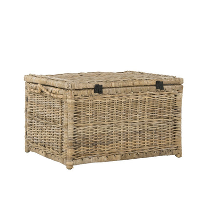 Caden Wicker Storage Trunk