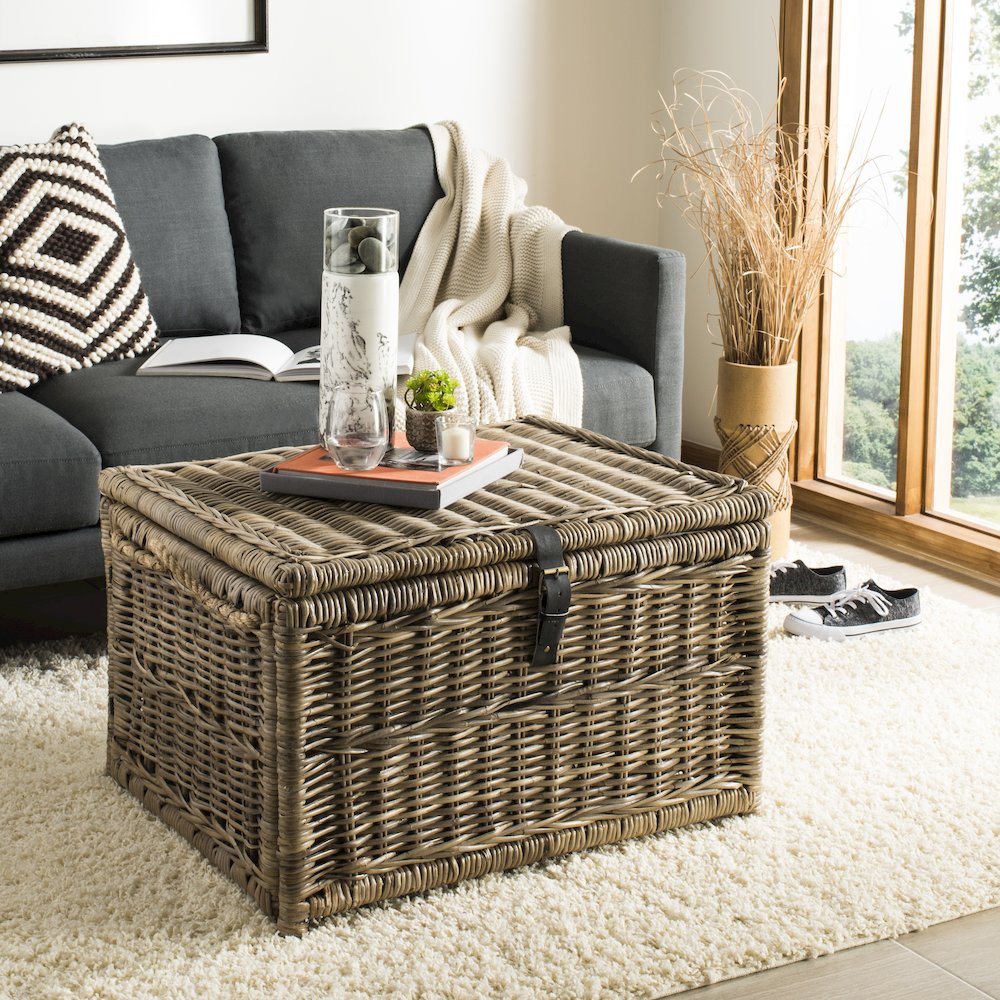 Caden Wicker Storage Trunk