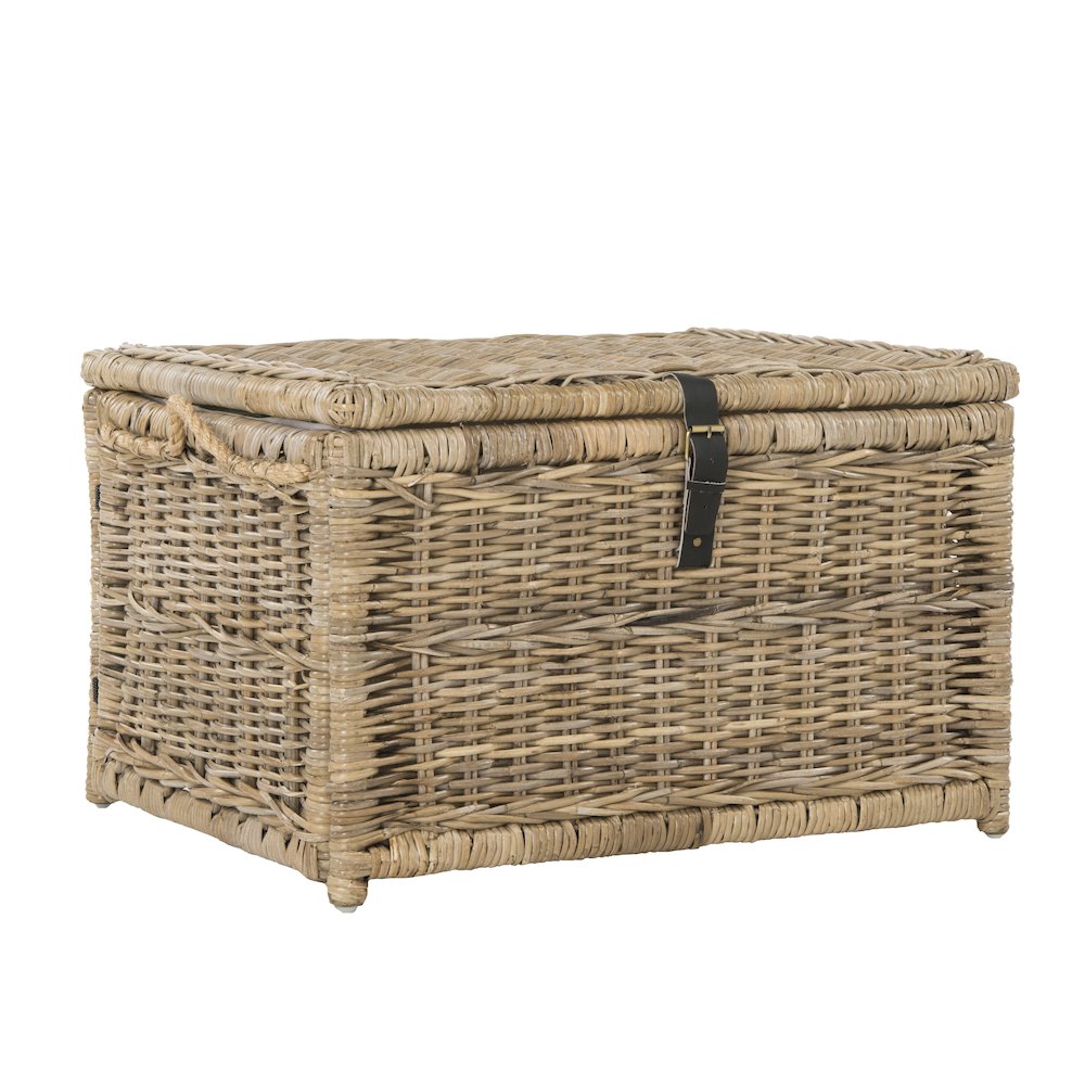 Caden Wicker Storage Trunk