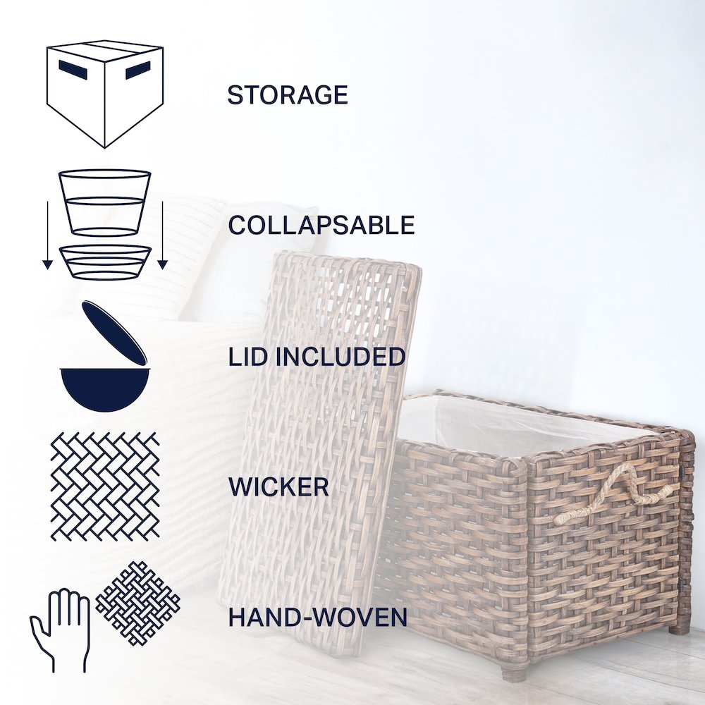 Jacob Wicker Storage Trunk