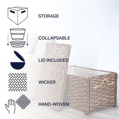 Jacob Wicker Storage Trunk