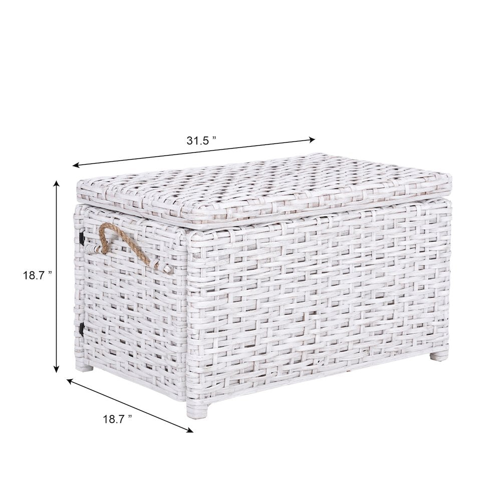 Jacob Handwoven Wicker Storage Trunk