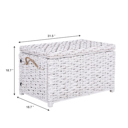 Jacob Handwoven Wicker Storage Trunk