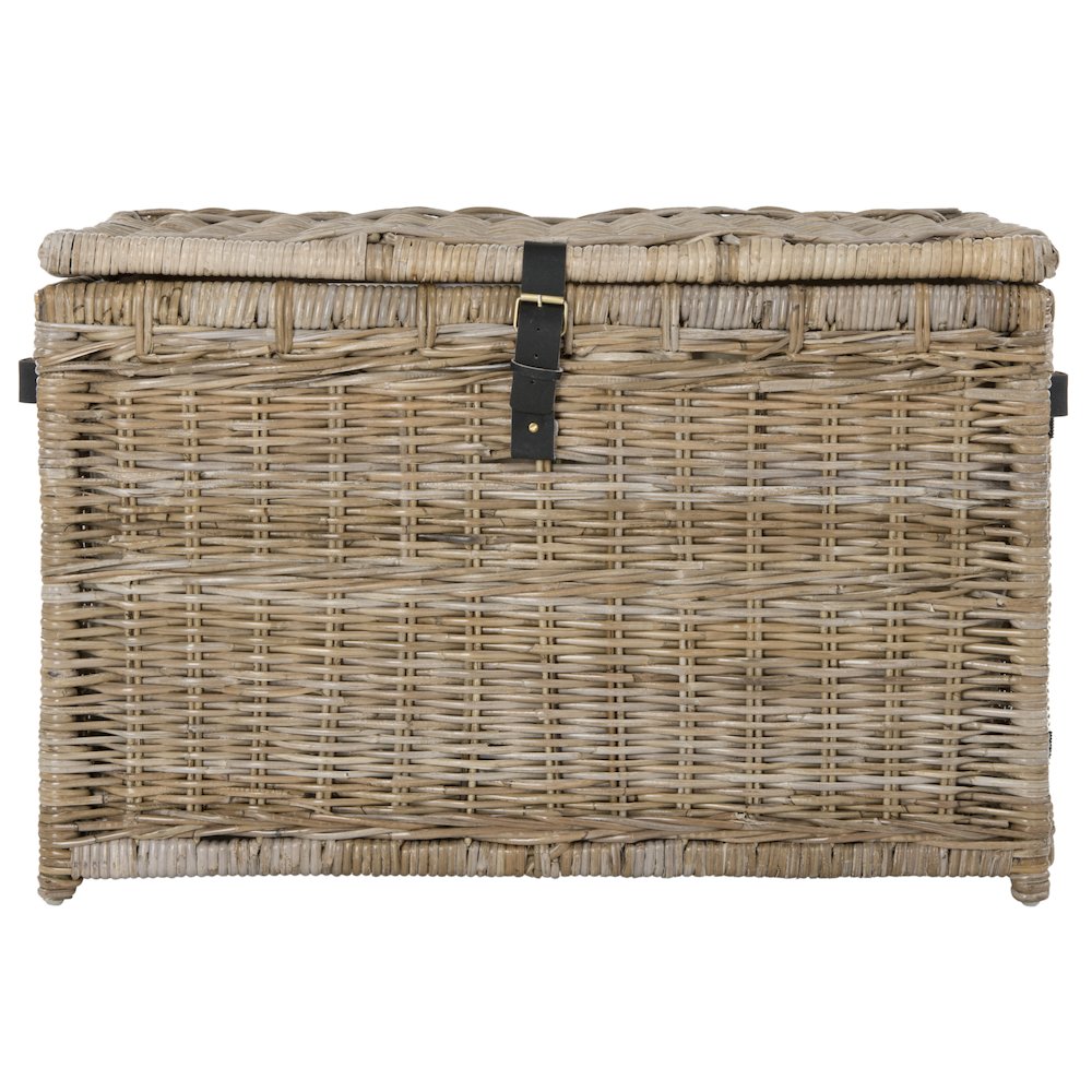 Michael Wicker Storage Trunk