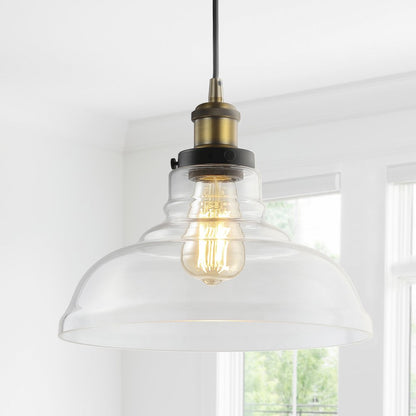 Litchfield Farmhouse Metal/Glass Led Pendant