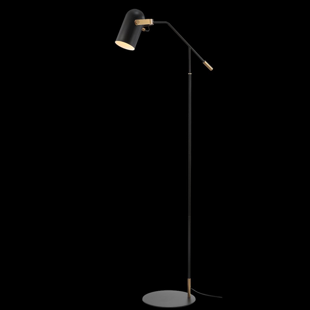 Eugenio Metal Led Floor Lamp