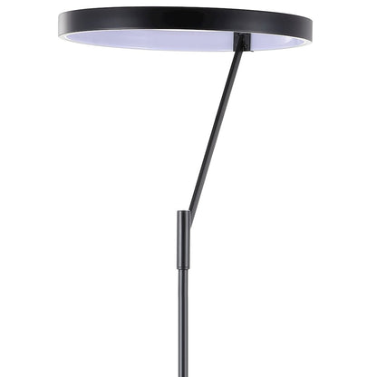 Owen Integrated Led Metal Floor Lamp