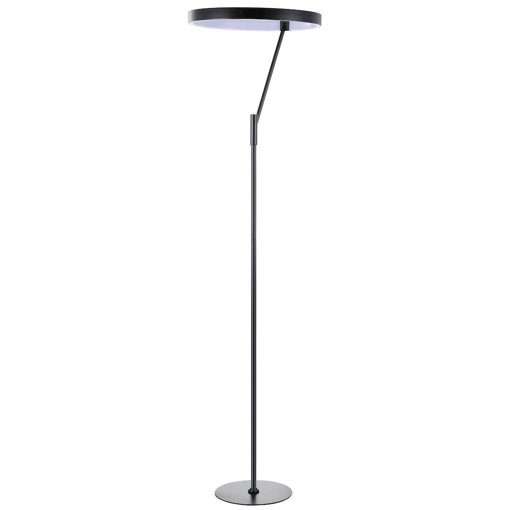 Owen Integrated Led Metal Floor Lamp