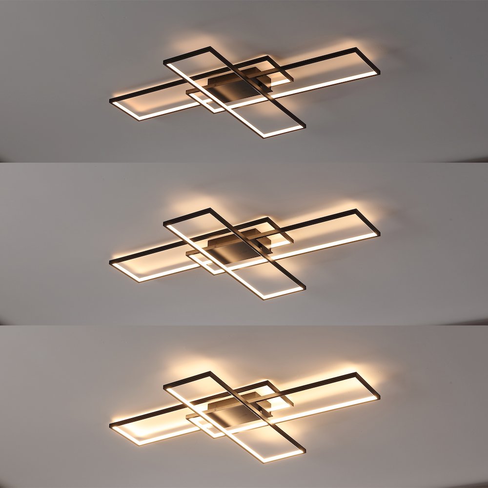 Minimalist Metal Adjustable Dimmable Geometric Integrated LED Flush Mount