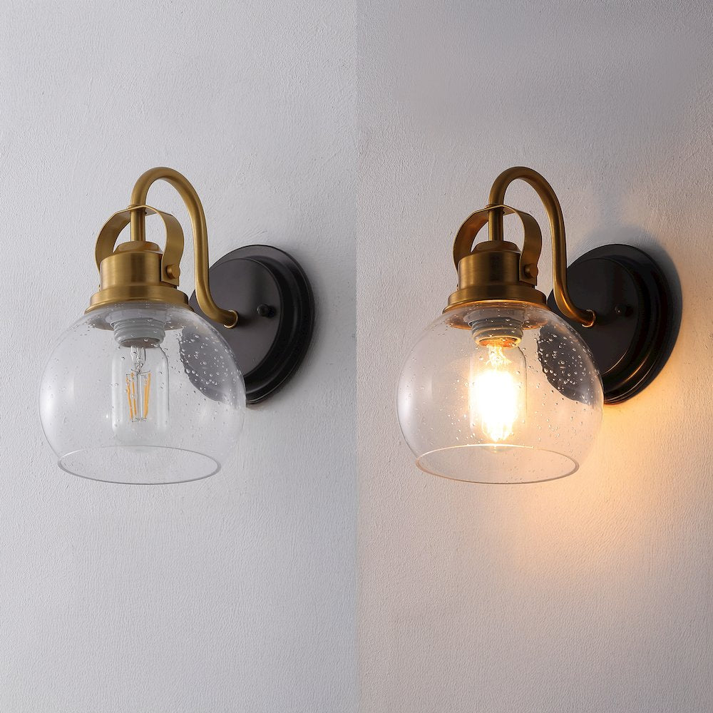 Shirley 1-Light Metal LED Vanity Light with Seeded Glass Globe Shade